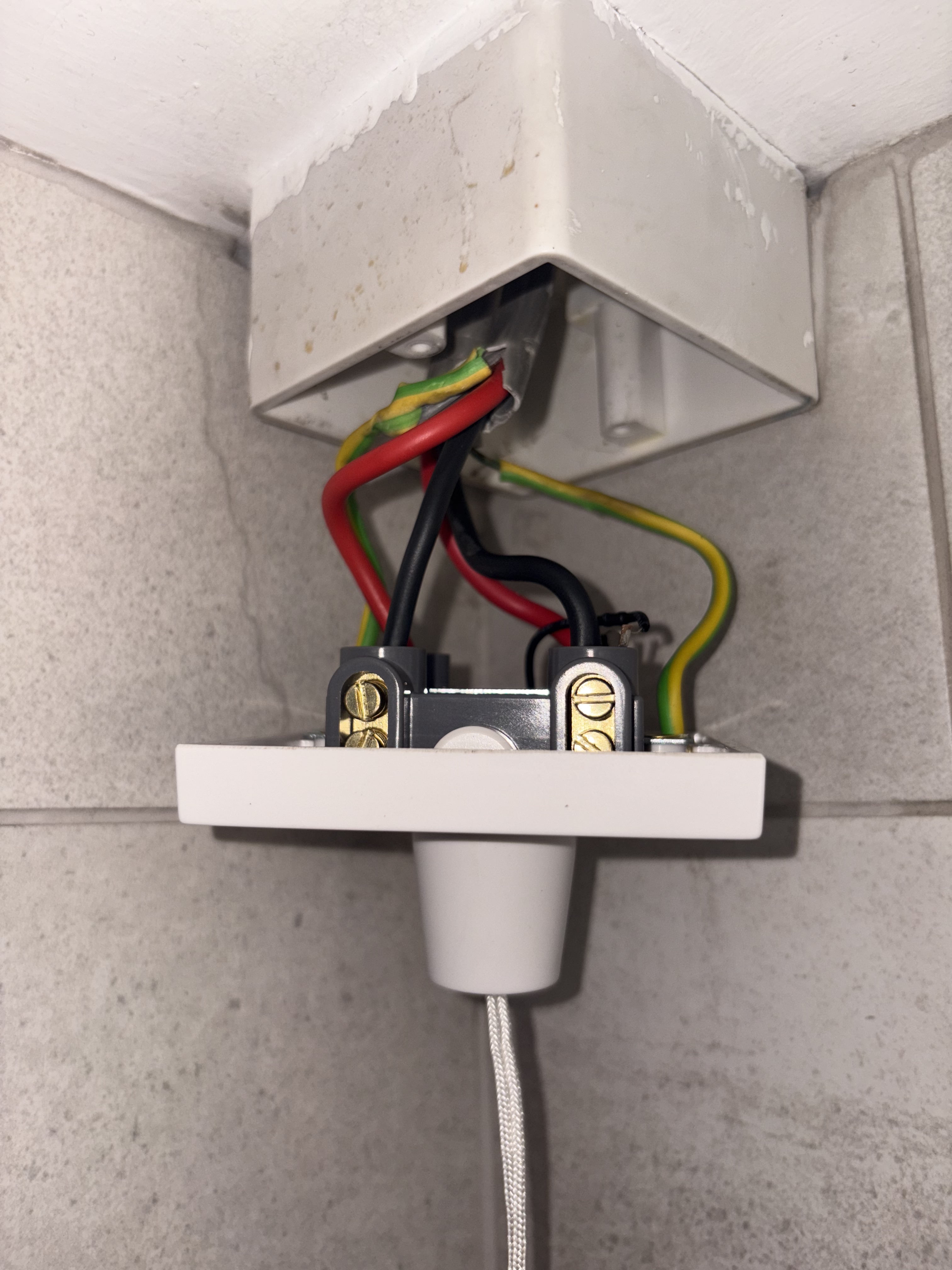 Shower switch electrical connections before final assembly